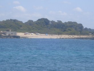 Platja de Can Curt (Las Salinas)
