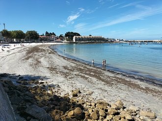 Canido (San Miguel de Oia)