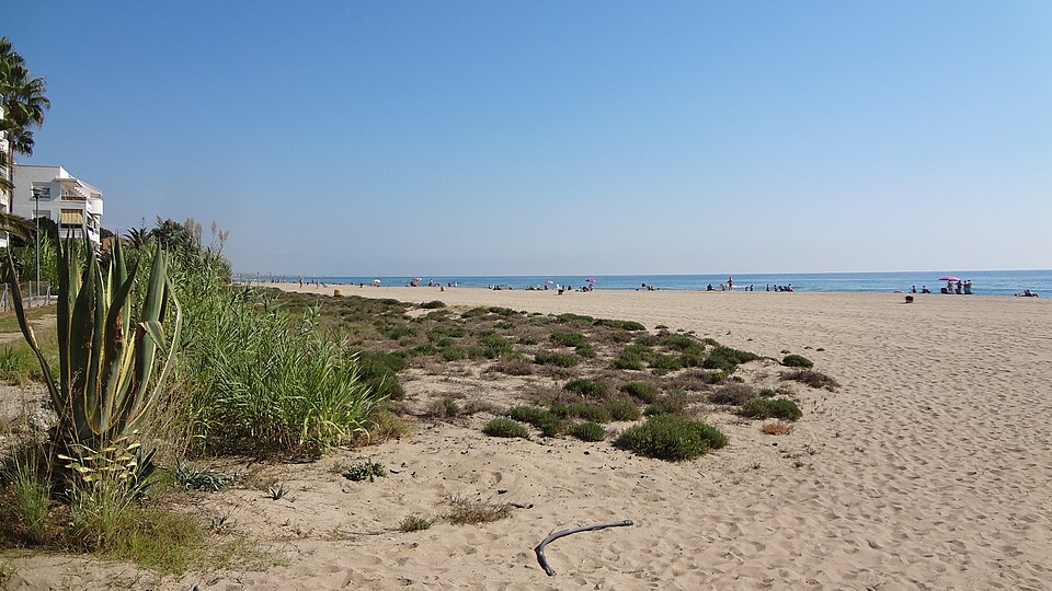 Les Guineus (Roda de Bará)