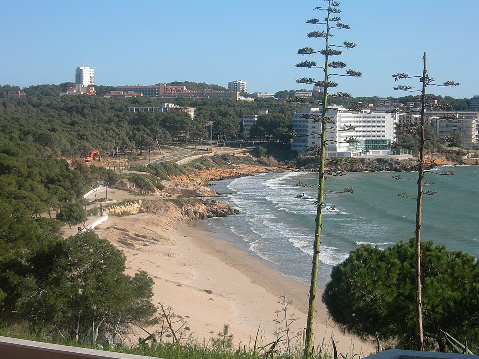 Platja Llarga (Salou)