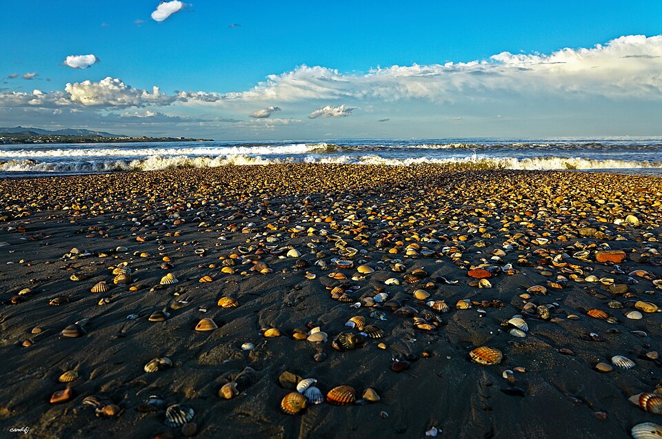 Platja de l'Arenal (La Ampolla)