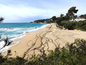 Cala del Forn (Calonge)