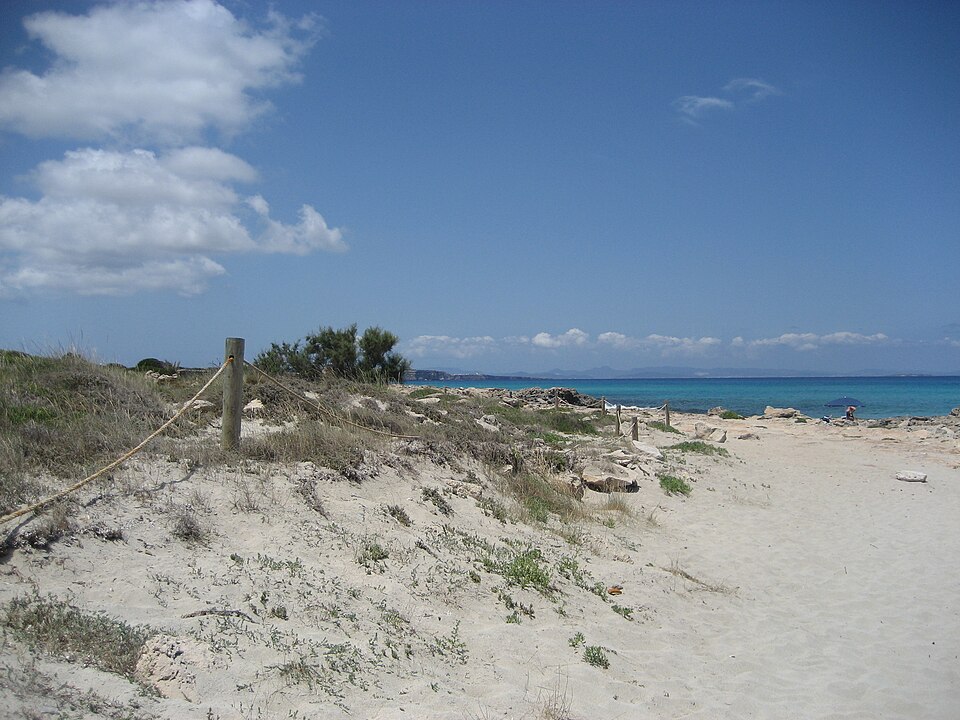 Ses Platgetes (Formentera)
