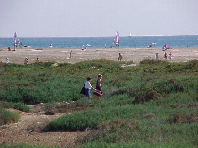 Playa del Matorral (Pájara)