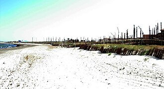 Playa El Mojón (San Pedro del Pinatar)