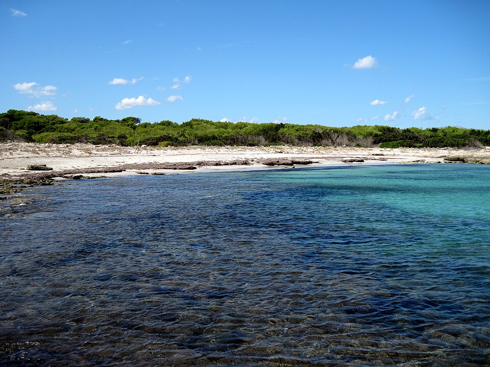 S'Arenal d'En Casat (Santa Margarita)